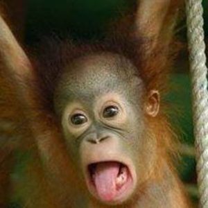 Meet your Posher, Deirdre